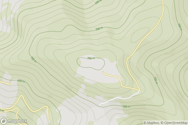 static Mapbox map