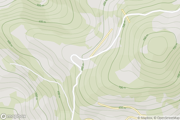 static Mapbox map