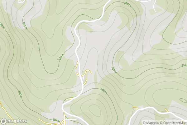 static Mapbox map