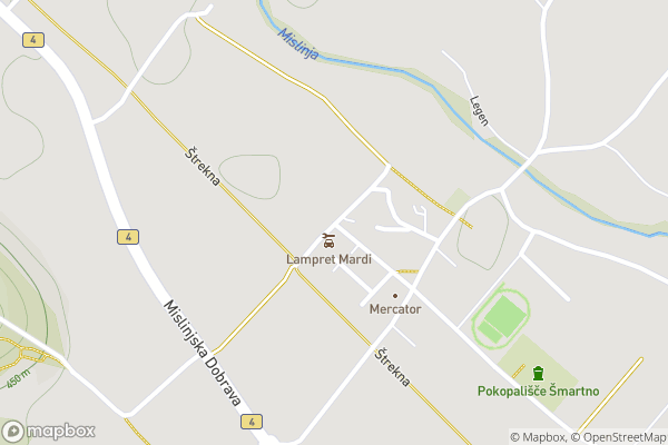 static Mapbox map