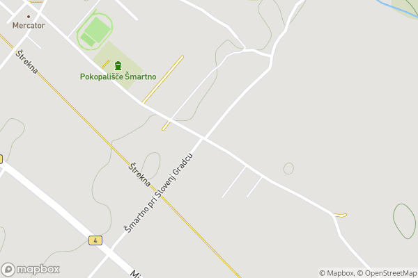 static Mapbox map