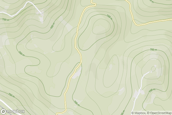 static Mapbox map