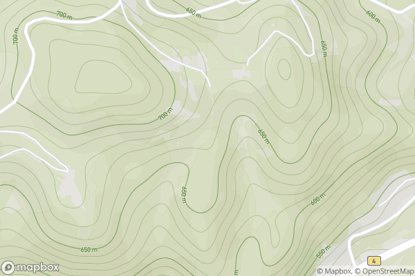 static Mapbox map