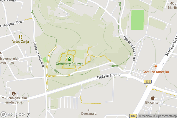 static Mapbox map