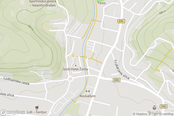 static Mapbox map