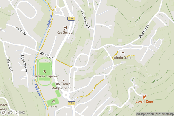 static Mapbox map