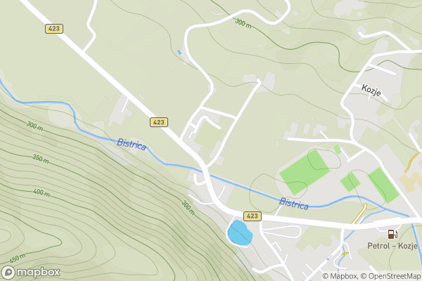 static Mapbox map