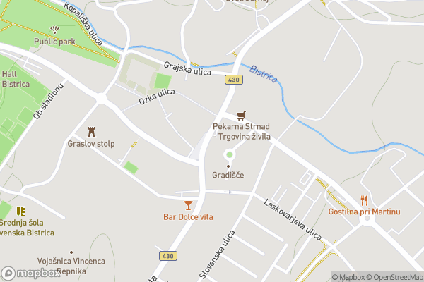 static Mapbox map