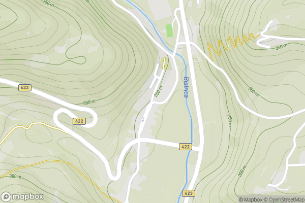 static Mapbox map