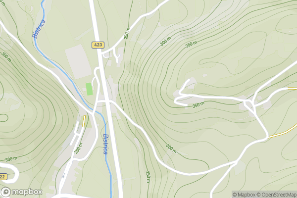 static Mapbox map