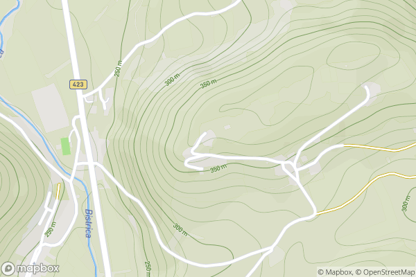 static Mapbox map