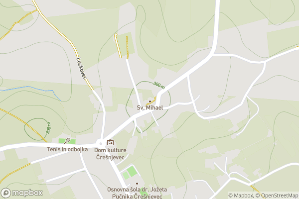 static Mapbox map