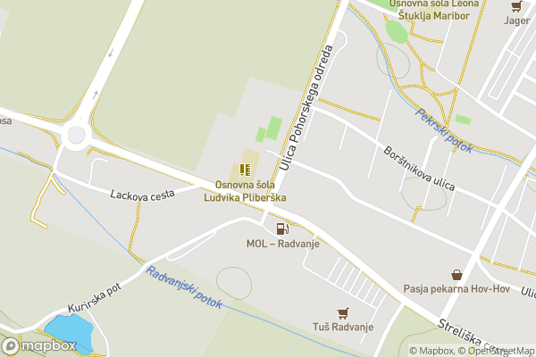 static Mapbox map