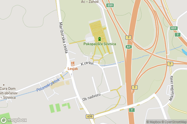 static Mapbox map