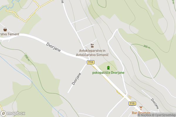 static Mapbox map