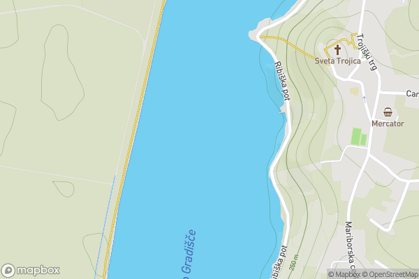 static Mapbox map