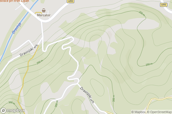 static Mapbox map