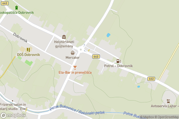 static Mapbox map
